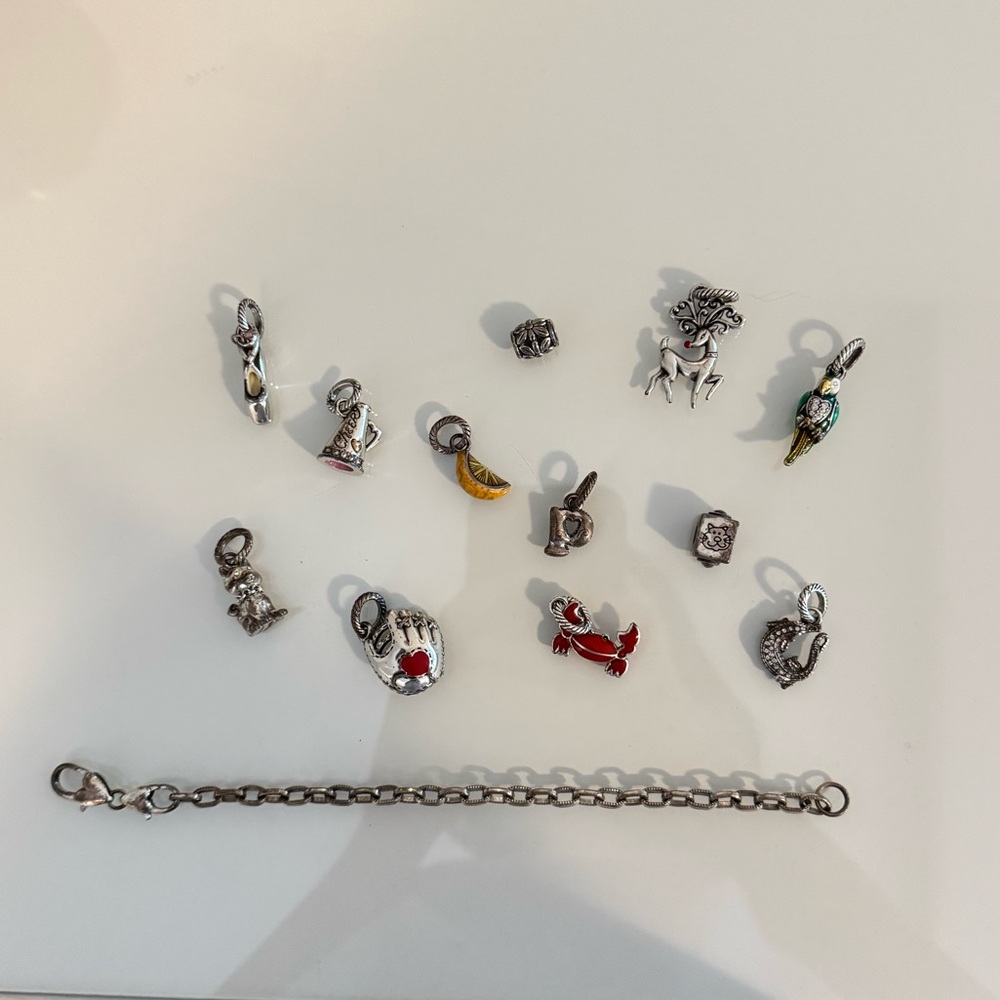 Assorted Brighton Charms
